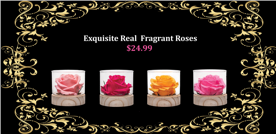 fragrant roses